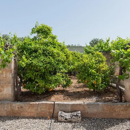 Alloggio per agriturismo Borgo San Marco