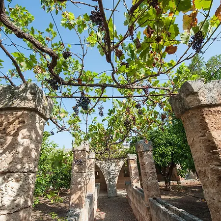 Masseria Borgo San Marco Bauernhof